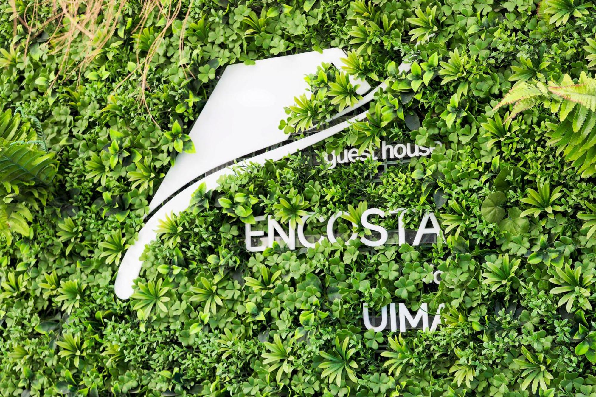 Encosta Do Uima - Guest House Caldas de Sao Jorge Dış mekan fotoğraf